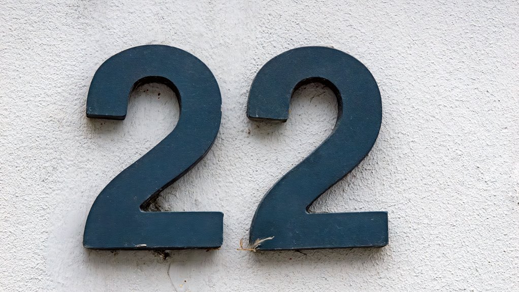 ip address format correction details